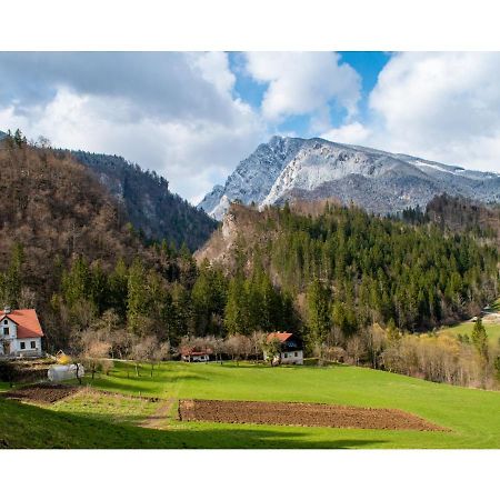 Villa Turisticna Kmetija Stoglej à Luče Extérieur photo