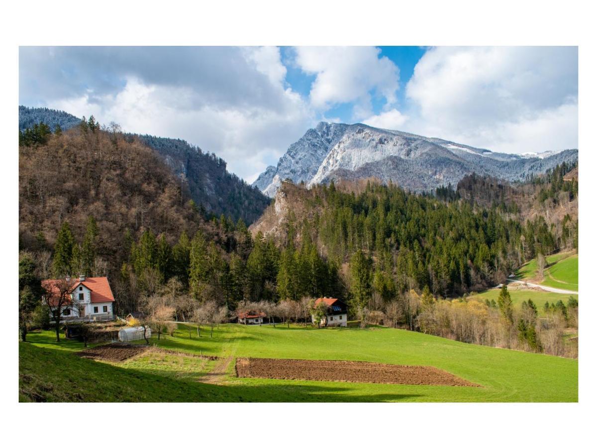 Villa Turisticna Kmetija Stoglej à Luče Extérieur photo