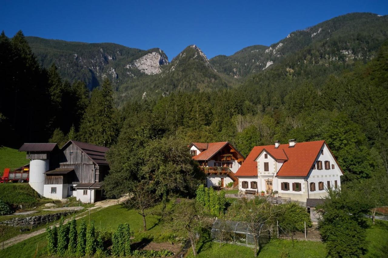 Villa Turisticna Kmetija Stoglej à Luče Extérieur photo