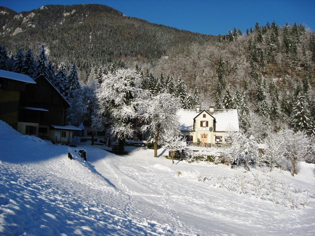 Villa Turisticna Kmetija Stoglej à Luče Extérieur photo