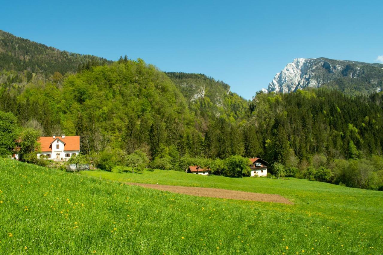 Villa Turisticna Kmetija Stoglej à Luče Extérieur photo